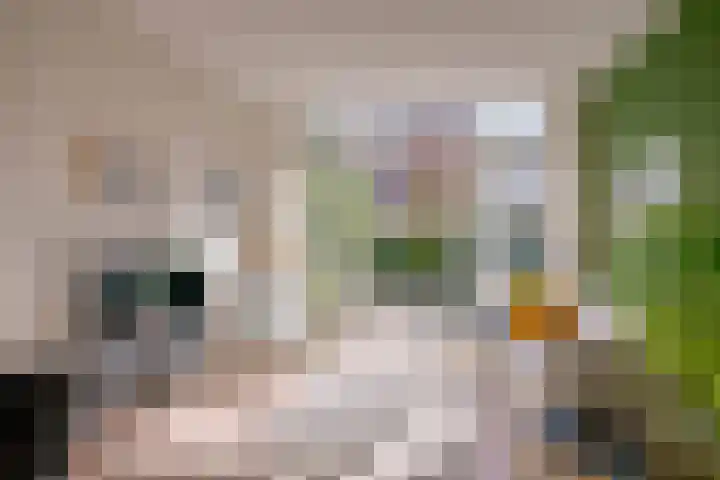 Papaverstraat 4 Utrecht thumbnail 4