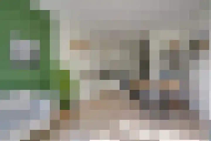 Papaverstraat 4 Utrecht thumbnail 5