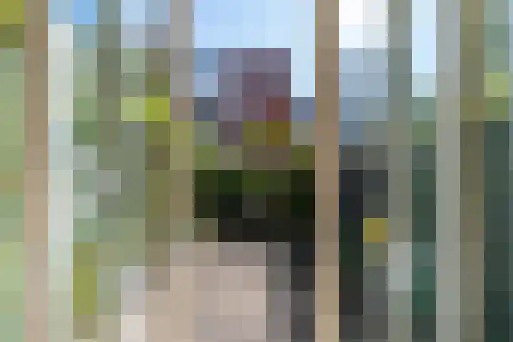 Papaverstraat 4 Utrecht thumbnail 8