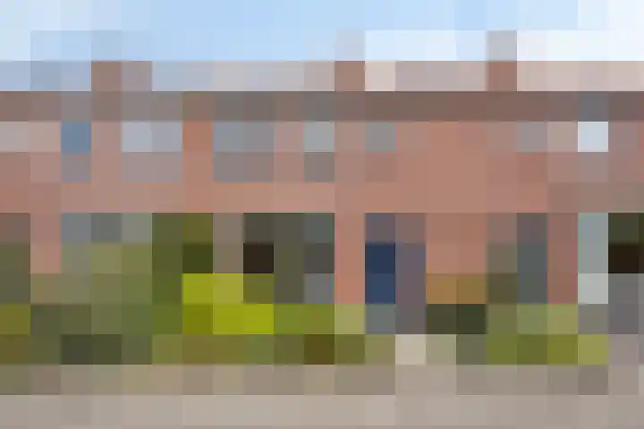 Papaverstraat 40 Oldenzaal thumbnail 28