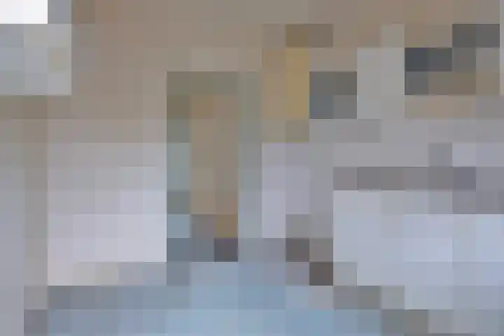 Papaverstraat 40 Oldenzaal thumbnail 7