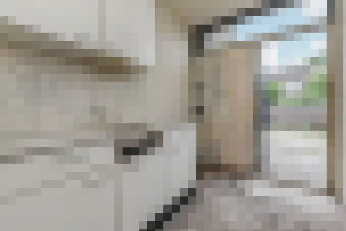 Papaverstraat 43 Gouda thumbnail 32