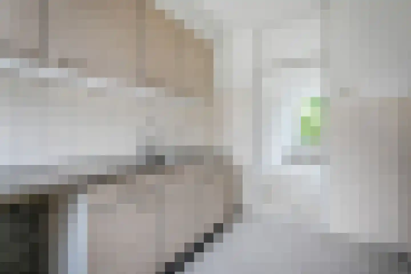 Papaverstraat 43 Gouda thumbnail 8