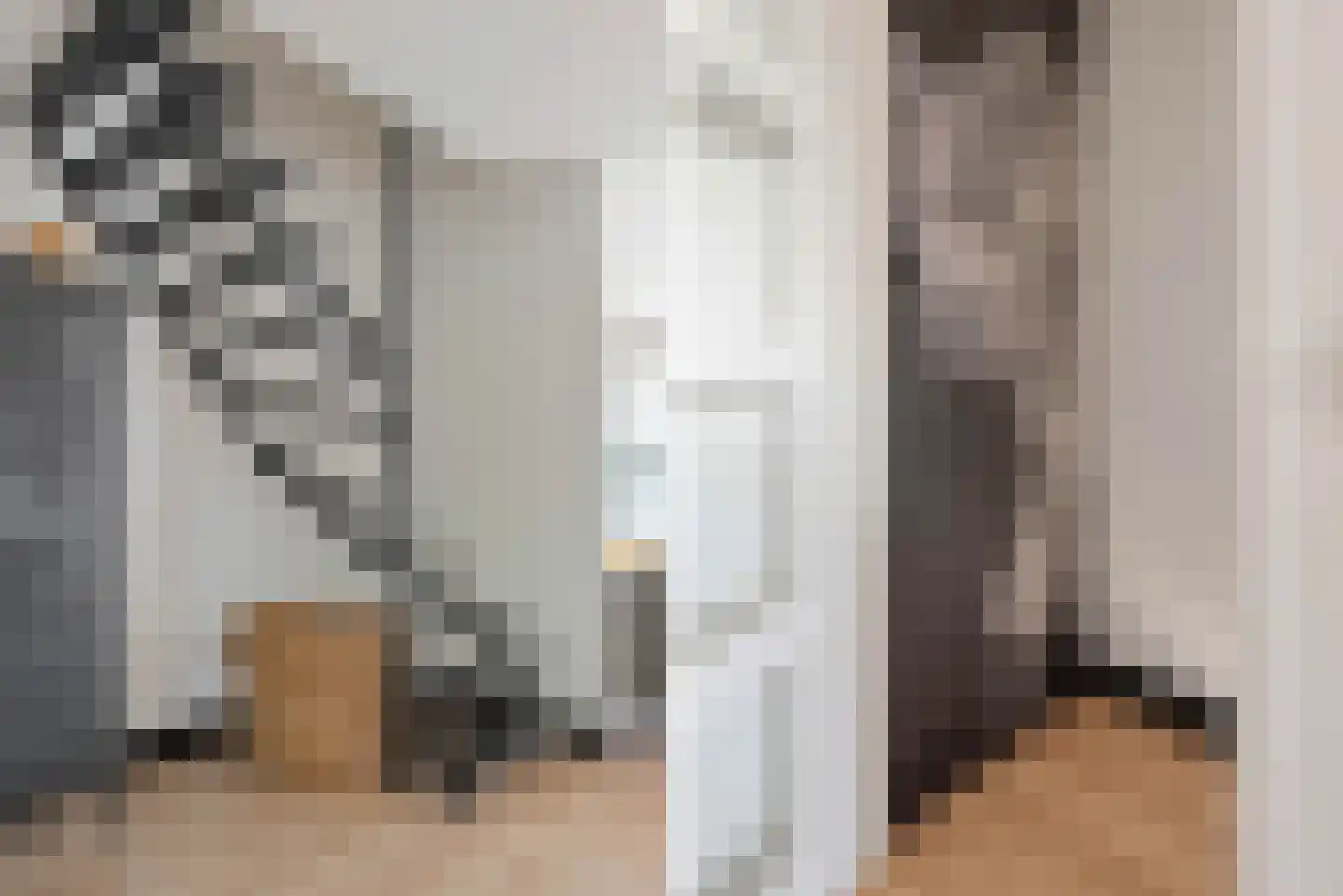 Papaverstraat 44 Schijndel thumbnail 16