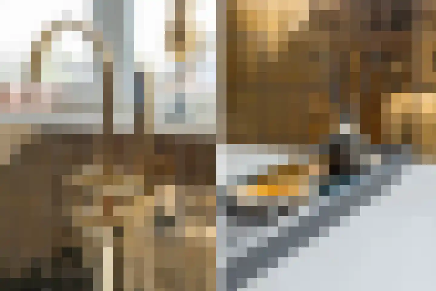 Papaverstraat 44 Schijndel thumbnail 30
