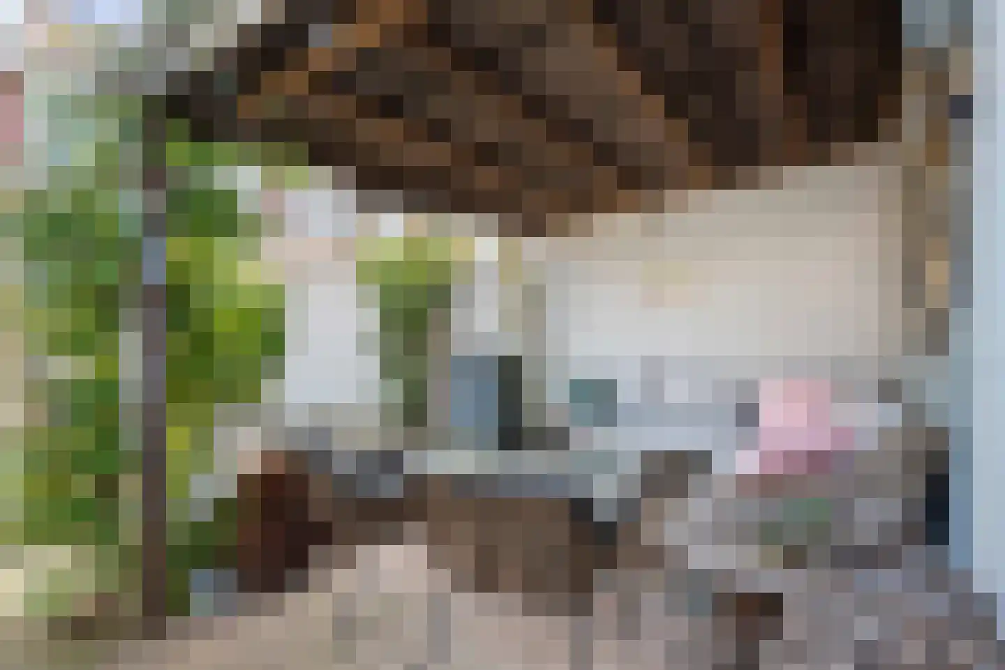 Papaverstraat 44 Schijndel thumbnail 34