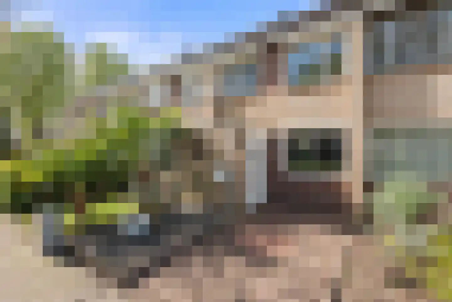 Papaverstraat 44 Schijndel thumbnail 37