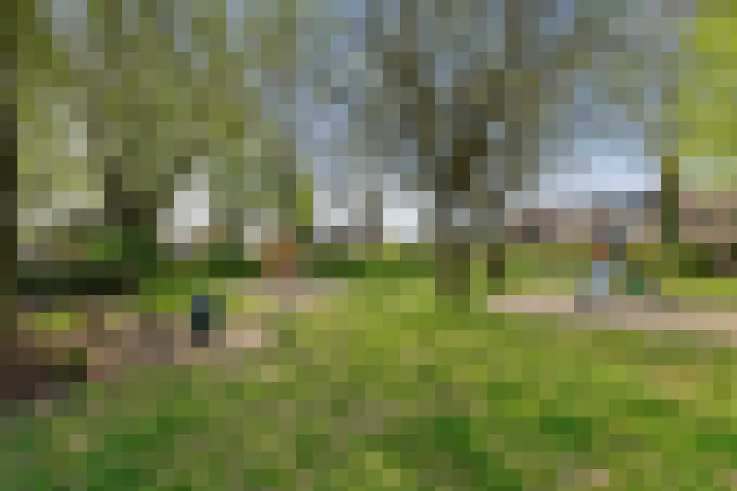 Papaverstraat 44 Schijndel thumbnail 38