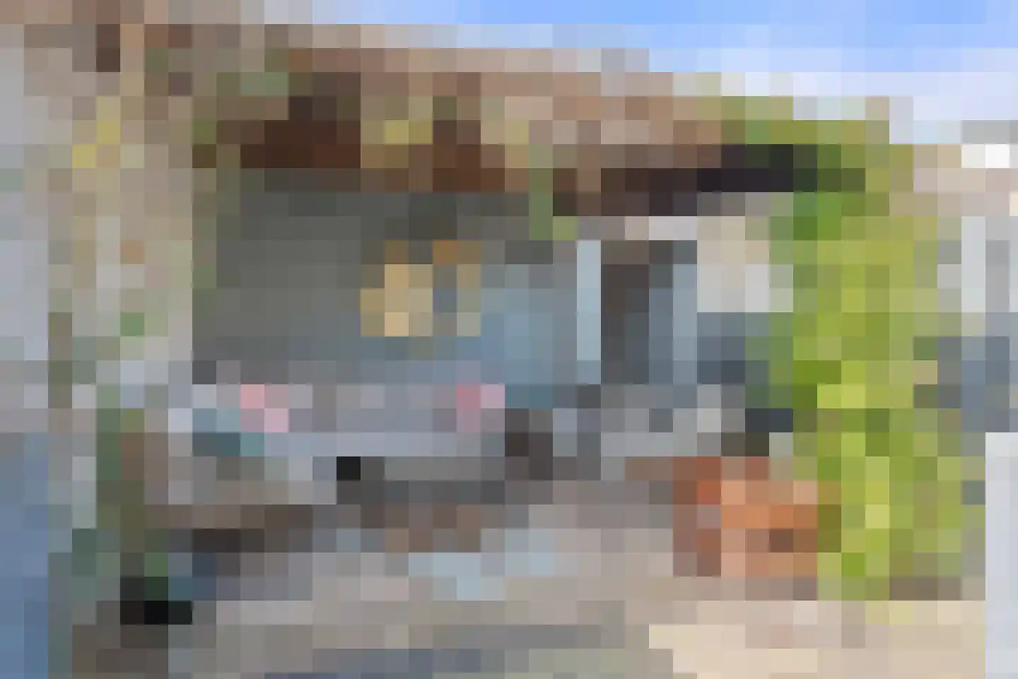 Papaverstraat 44 Schijndel thumbnail 4