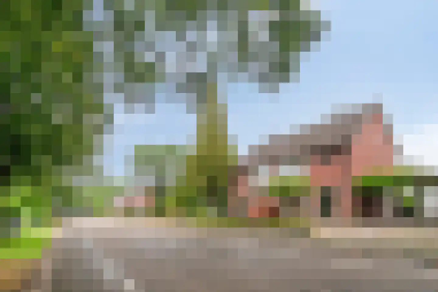 Papaverstraat 44 Sint-Michielsgestel thumbnail 33