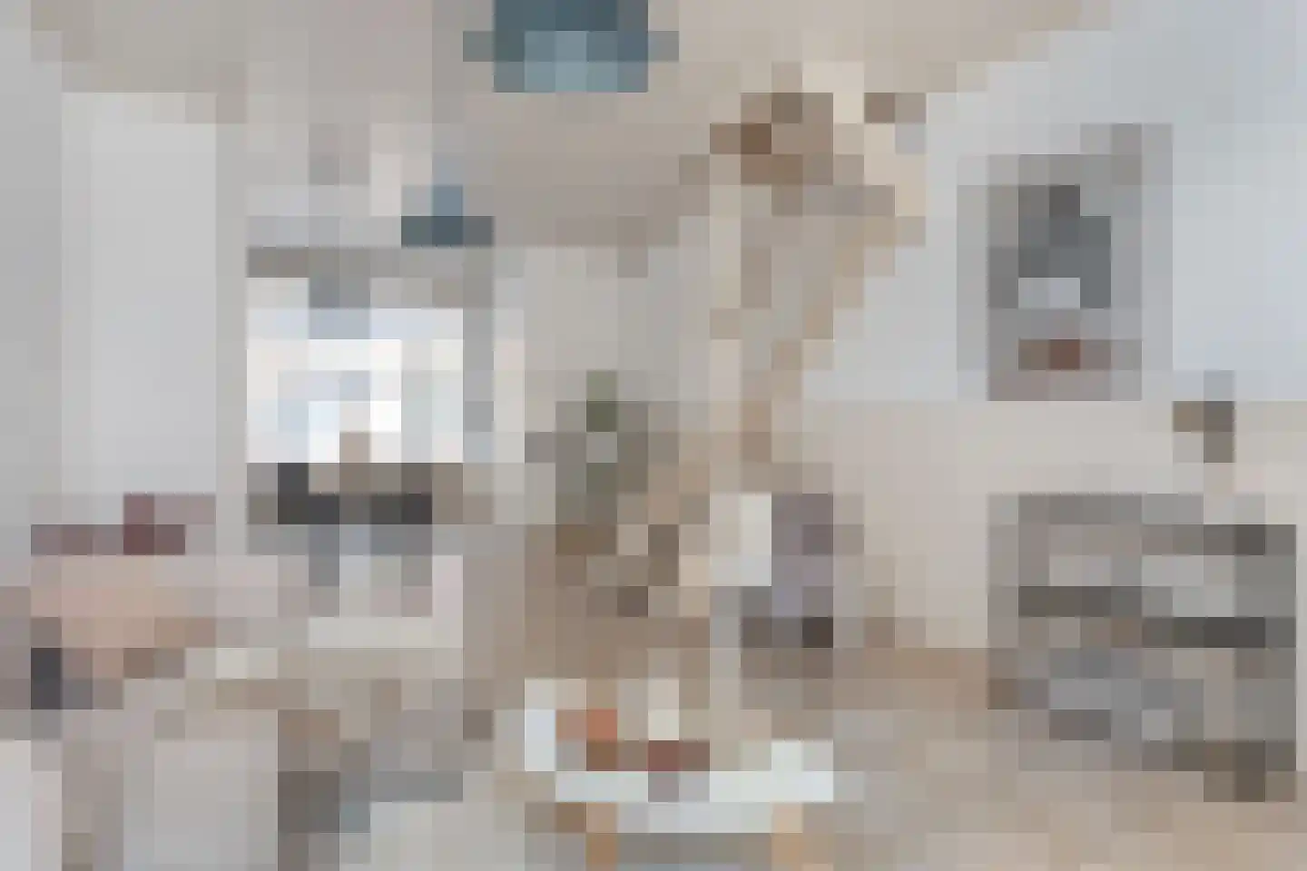 Papaverstraat 44 Utrecht thumbnail 10