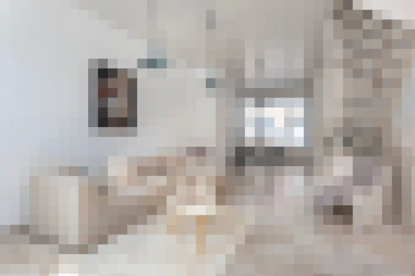 Papaverstraat 44 Utrecht thumbnail 11
