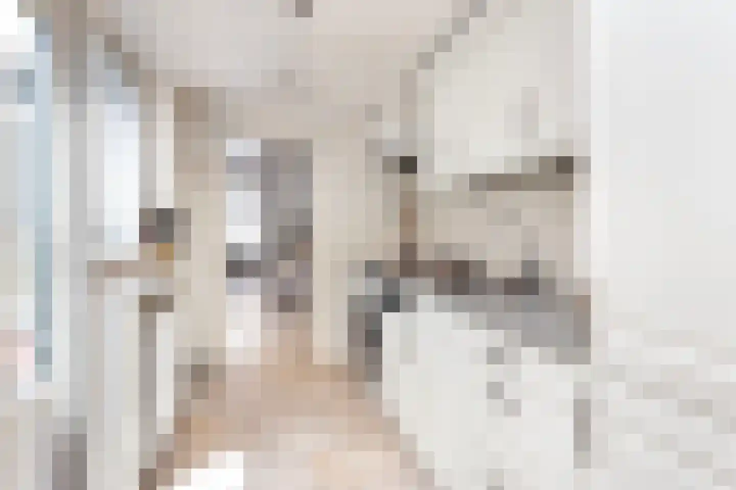 Papaverstraat 44 Utrecht thumbnail 14