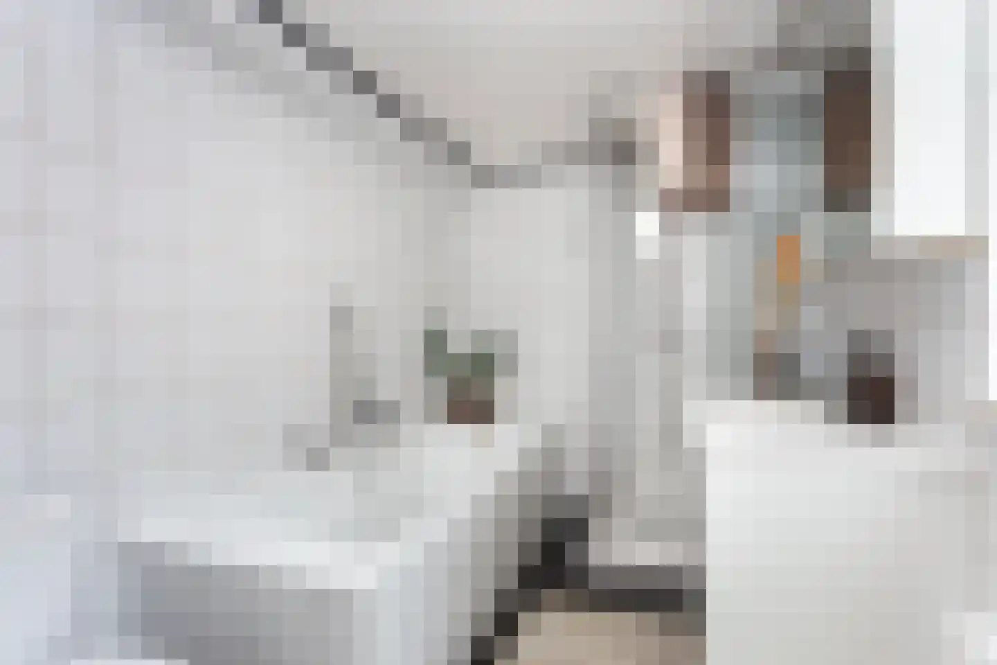 Papaverstraat 44 Utrecht thumbnail 15
