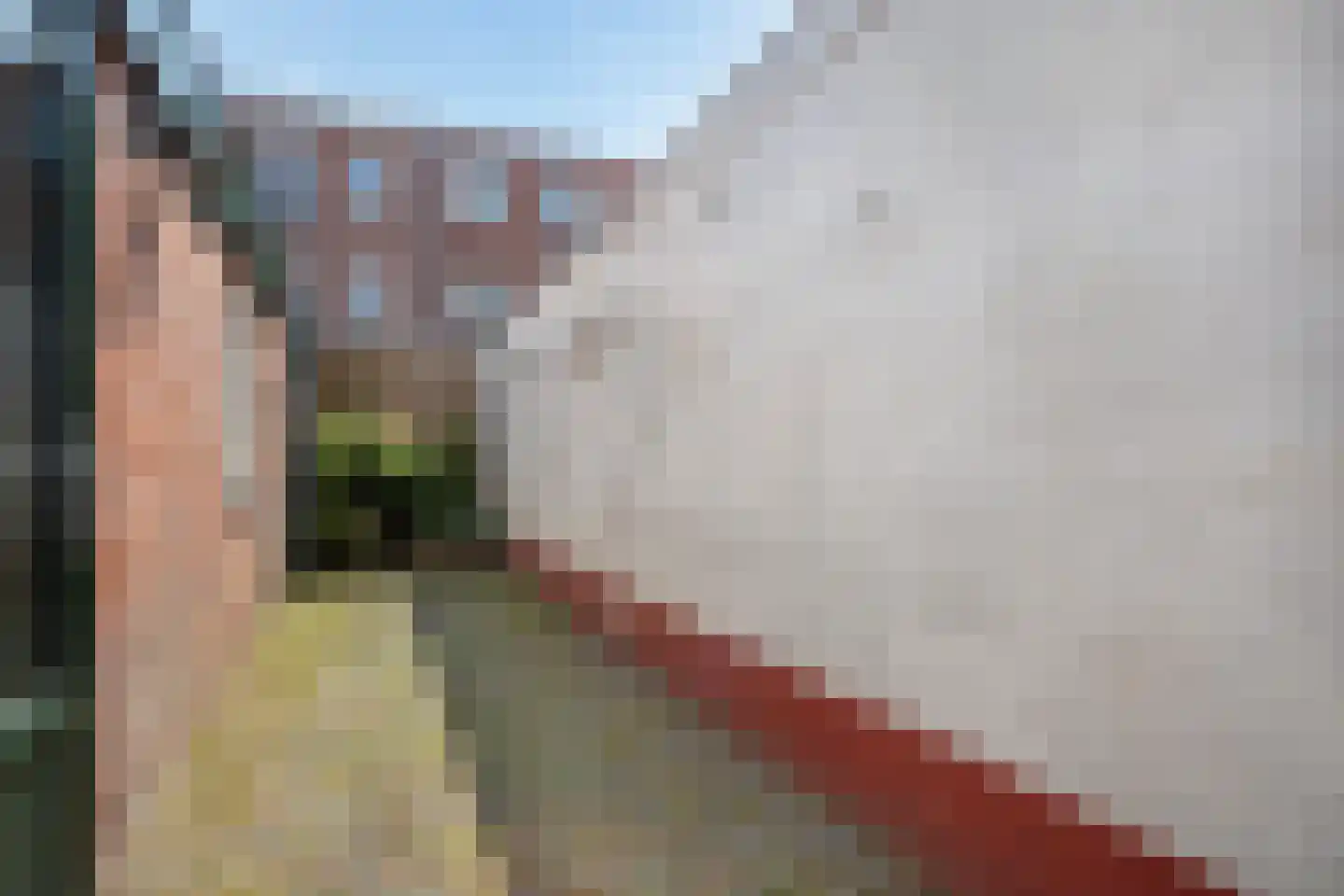 Papaverstraat 44 Utrecht thumbnail 18