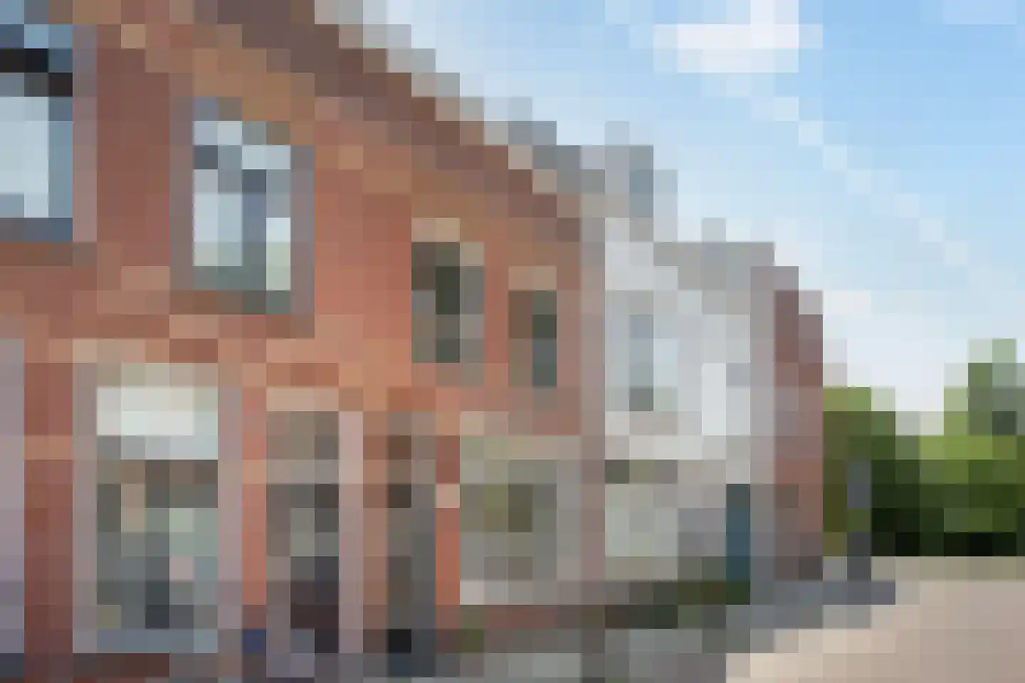 Papaverstraat 44 Utrecht foto 3