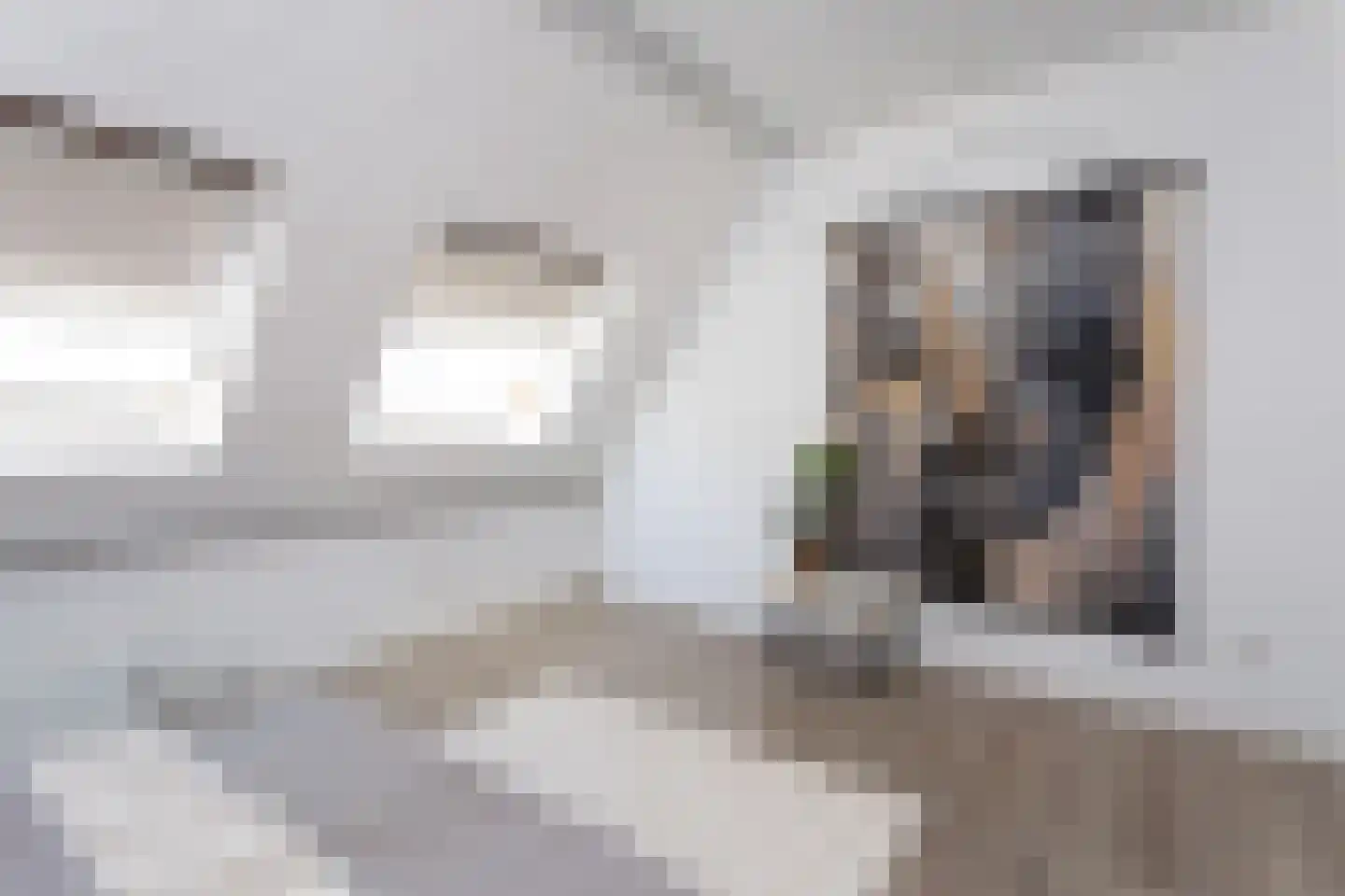 Papaverstraat 44 Utrecht thumbnail 31