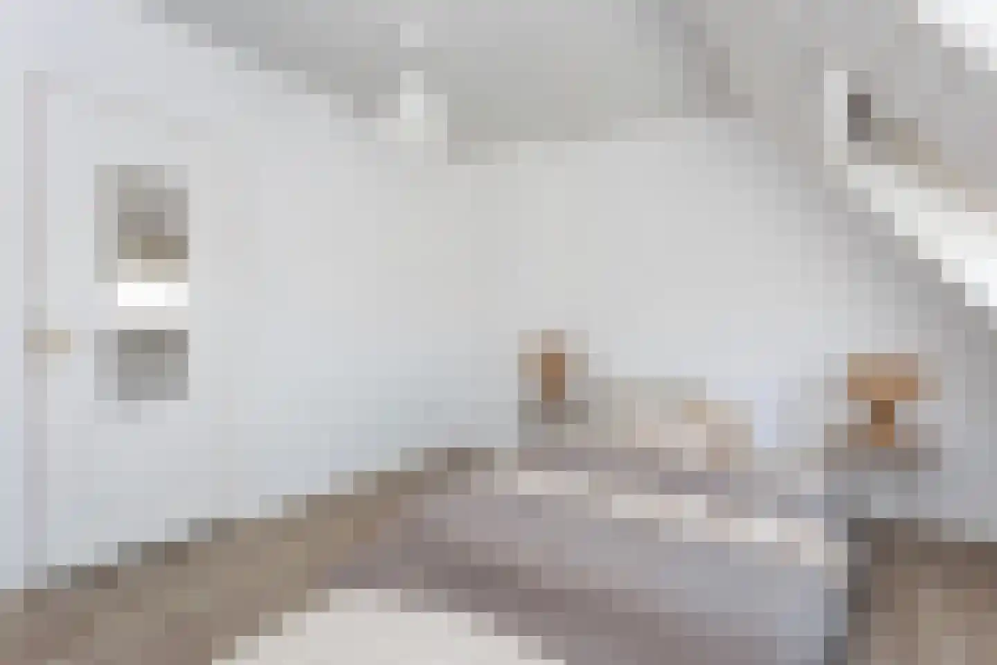 Papaverstraat 44 Utrecht thumbnail 32