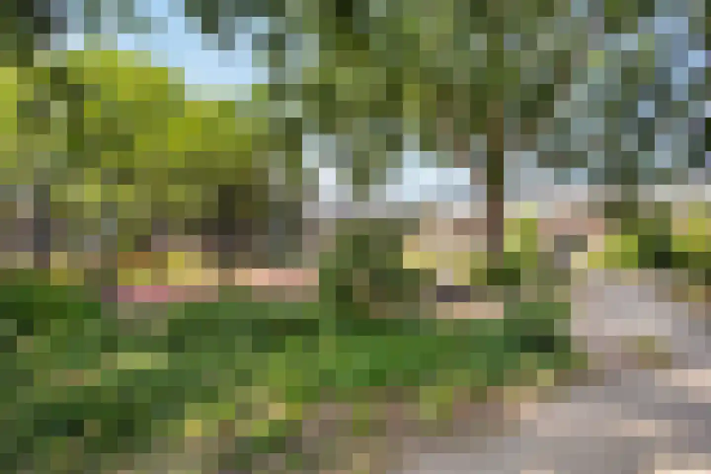 Papaverstraat 44 Utrecht thumbnail 36