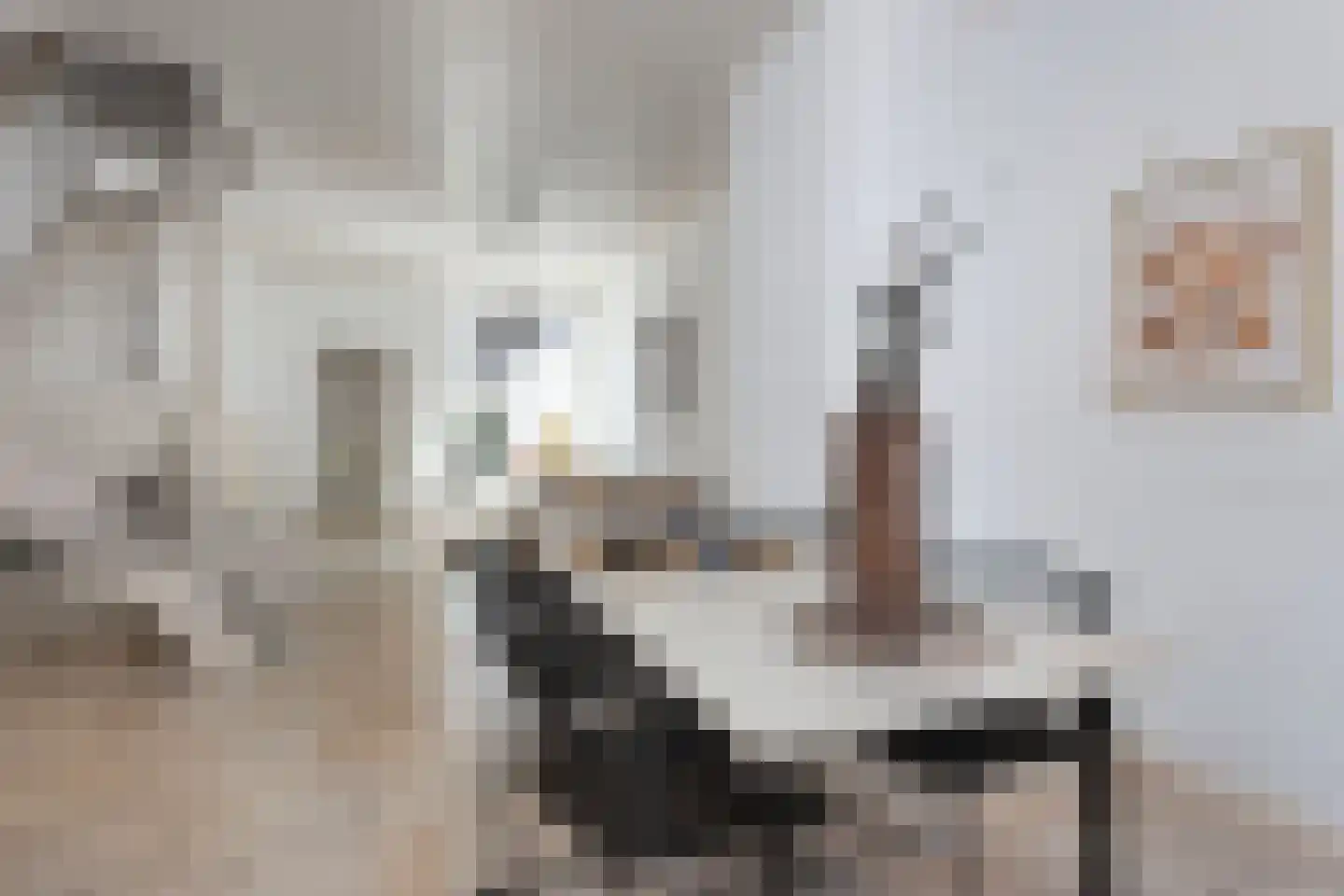 Papaverstraat 44 Utrecht thumbnail 6