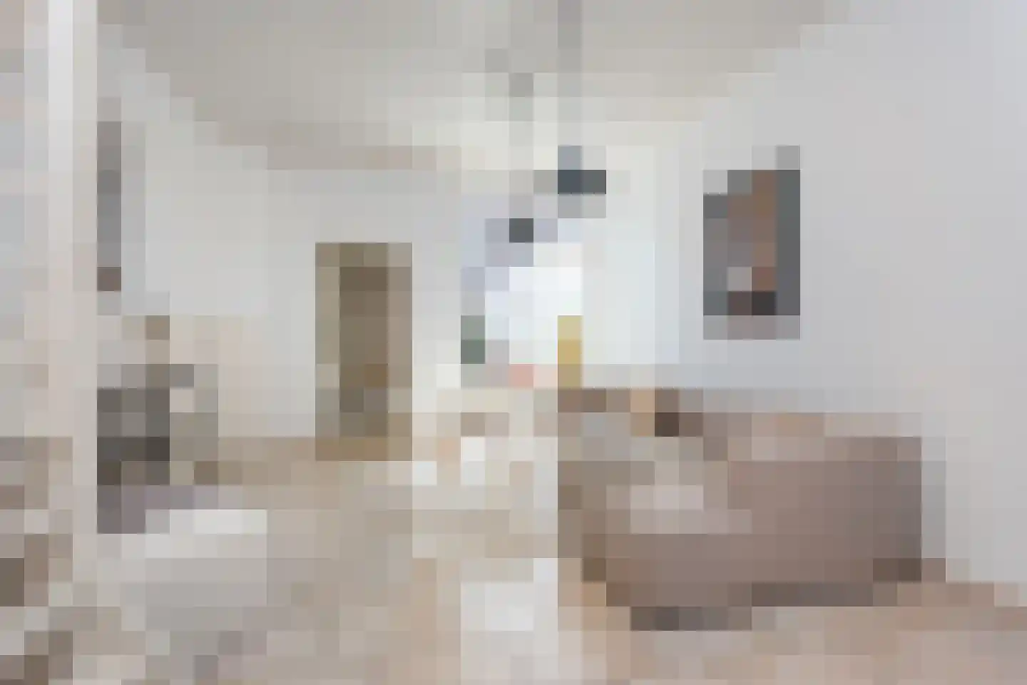 Papaverstraat 44 Utrecht thumbnail 8