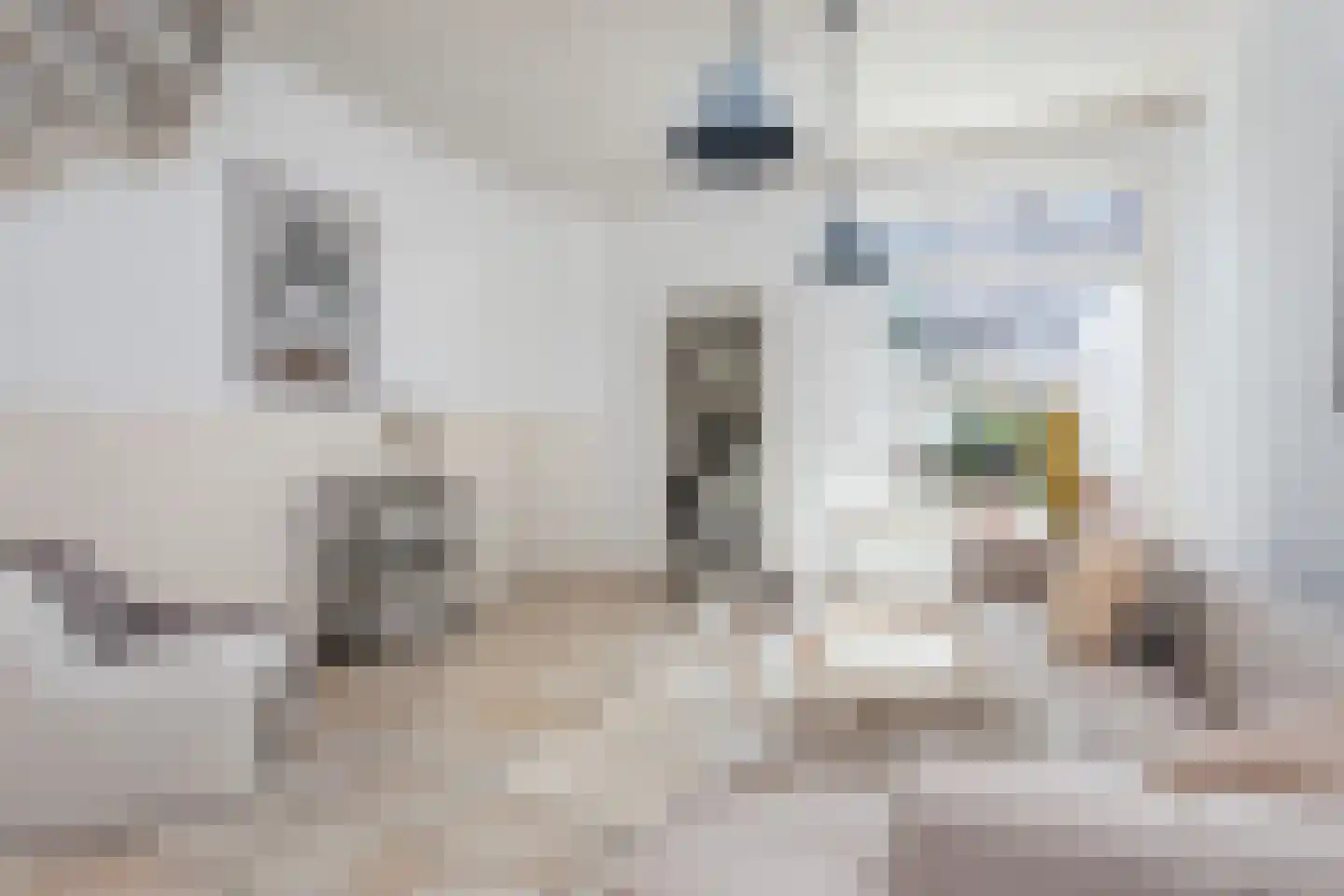Papaverstraat 44 Utrecht thumbnail 9