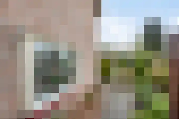 Papaverstraat 50 Zelhem thumbnail 24