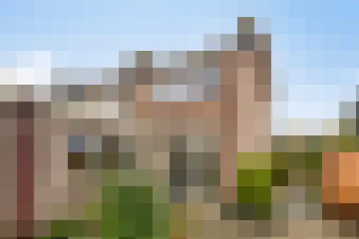 Papaverstraat 50 Zelhem thumbnail 27