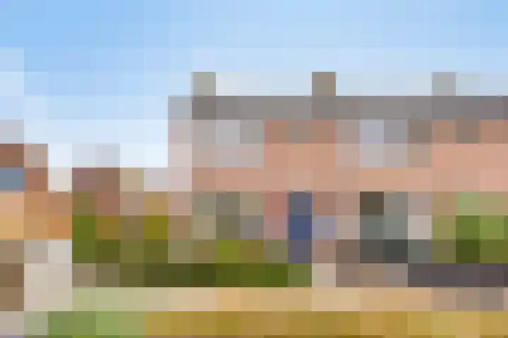 Papaverstraat 50 Zelhem thumbnail 29
