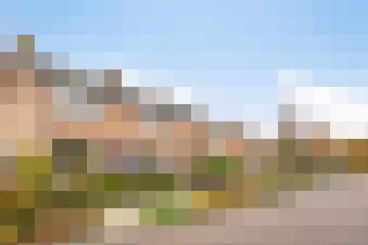 Papaverstraat 50 Zelhem thumbnail 30