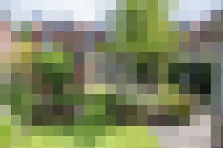 Papaverstraat 51 Nieuw-Vennep thumbnail 22