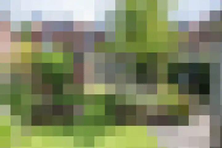 Papaverstraat 51 Nieuw-Vennep thumbnail 4