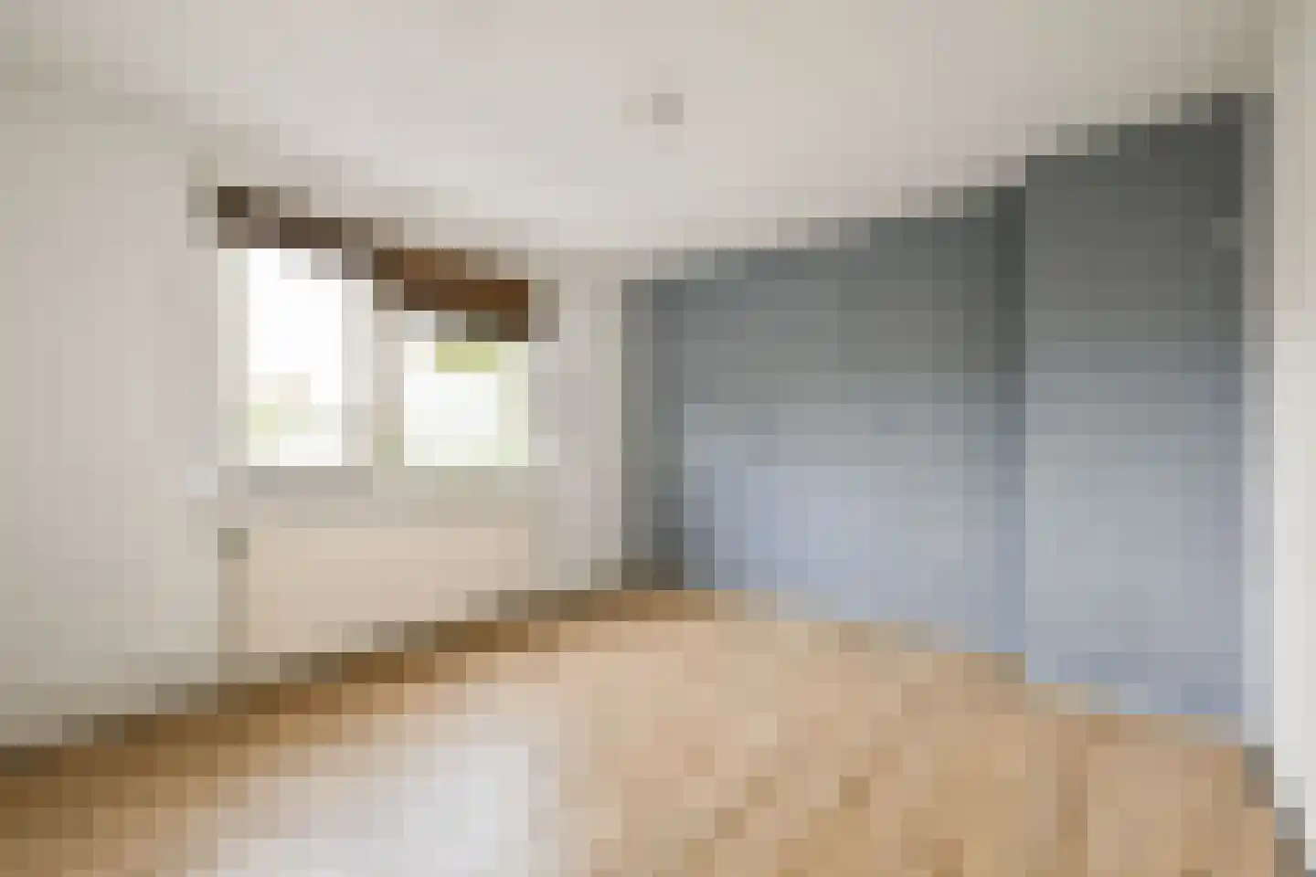 Papaverstraat 53 Nieuw-Vennep thumbnail 11