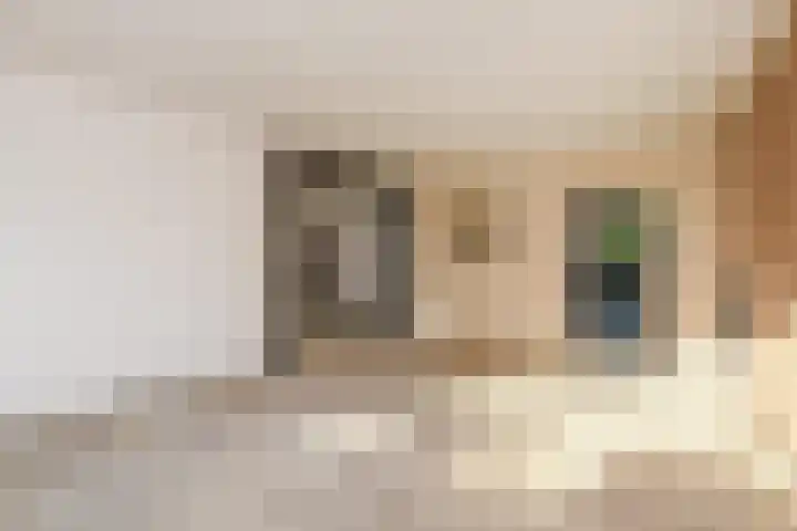 Papaverstraat 55 Gouda thumbnail 9