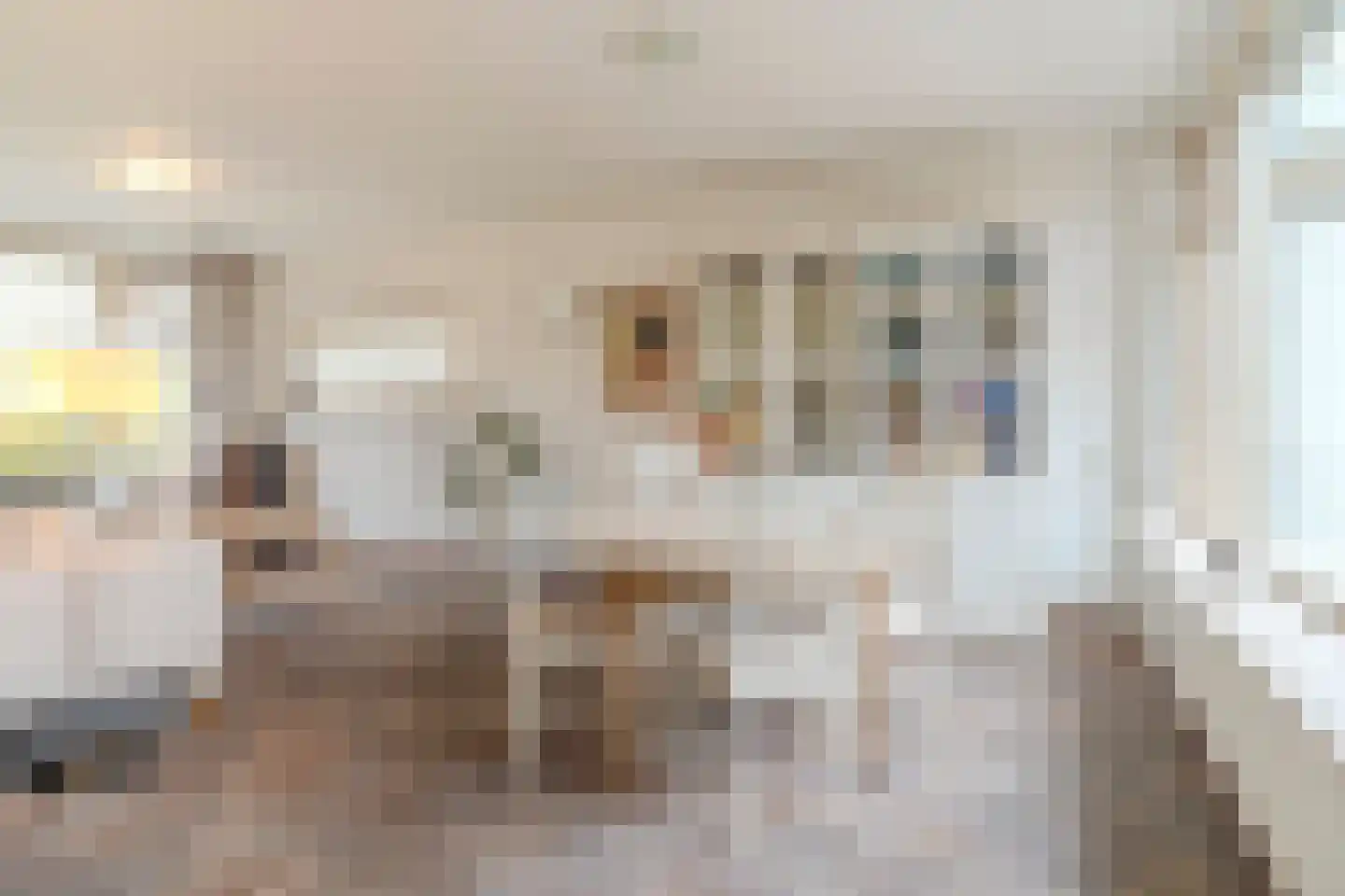 Papaverstraat 6 Dongen thumbnail 11