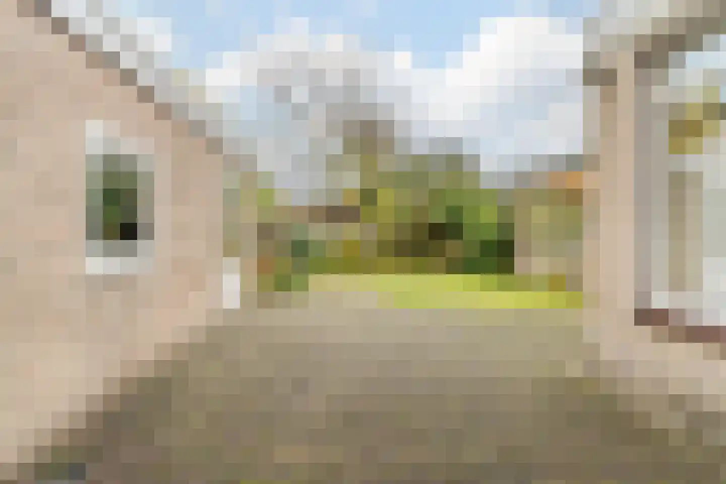 Papaverstraat 6 Dongen thumbnail 16