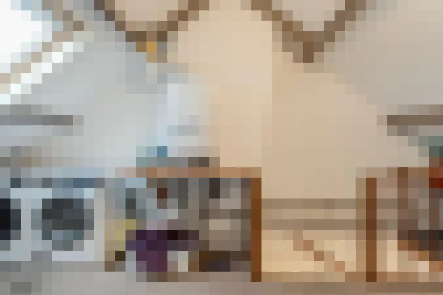 Papaverstraat 6 Dongen thumbnail 36