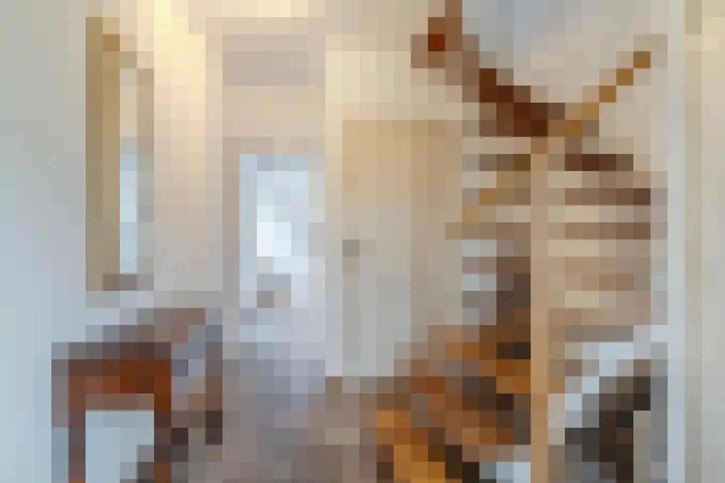 Papaverstraat 6 Dongen thumbnail 6