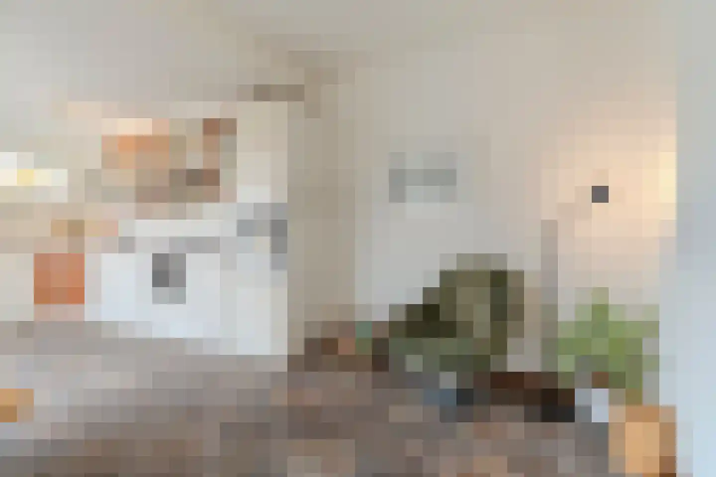 Papaverstraat 6 Dongen thumbnail 9