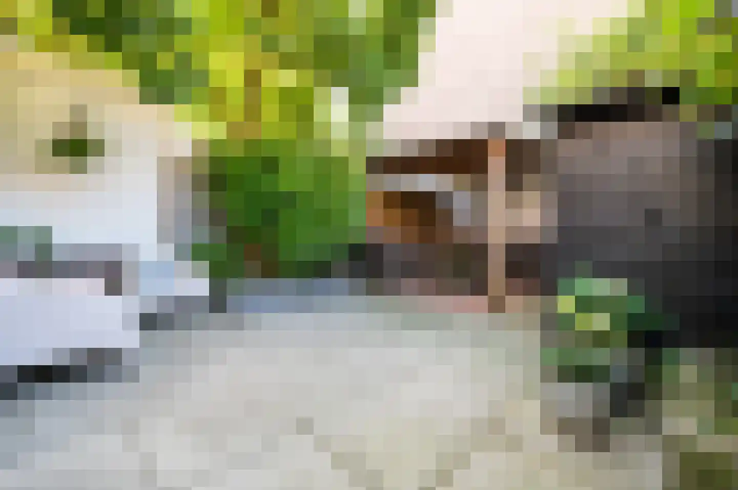 Papaverstraat 6 Zwolle thumbnail 17