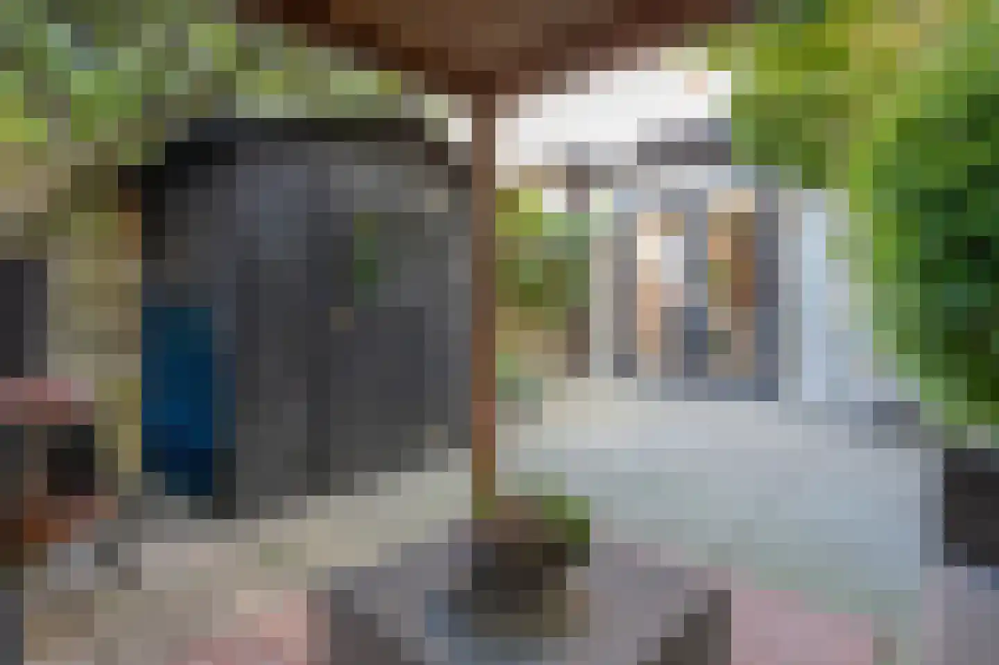 Papaverstraat 6 Zwolle thumbnail 19