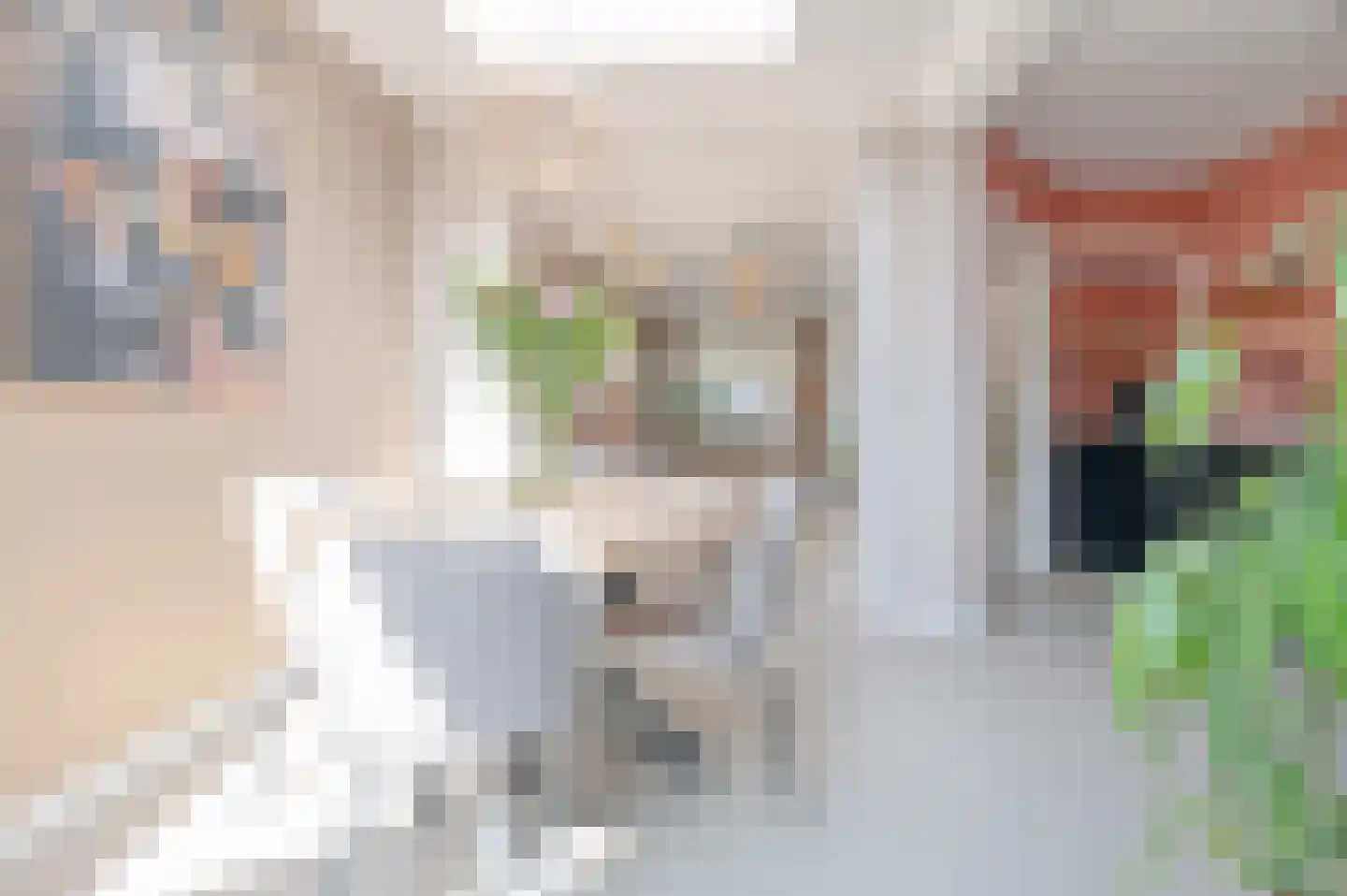 Papaverstraat 6 Zwolle thumbnail 21