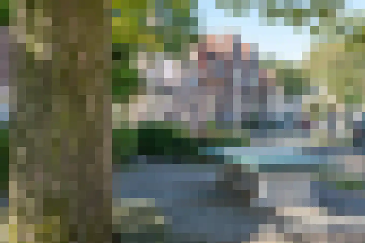 Papaverstraat 6 Zwolle thumbnail 44