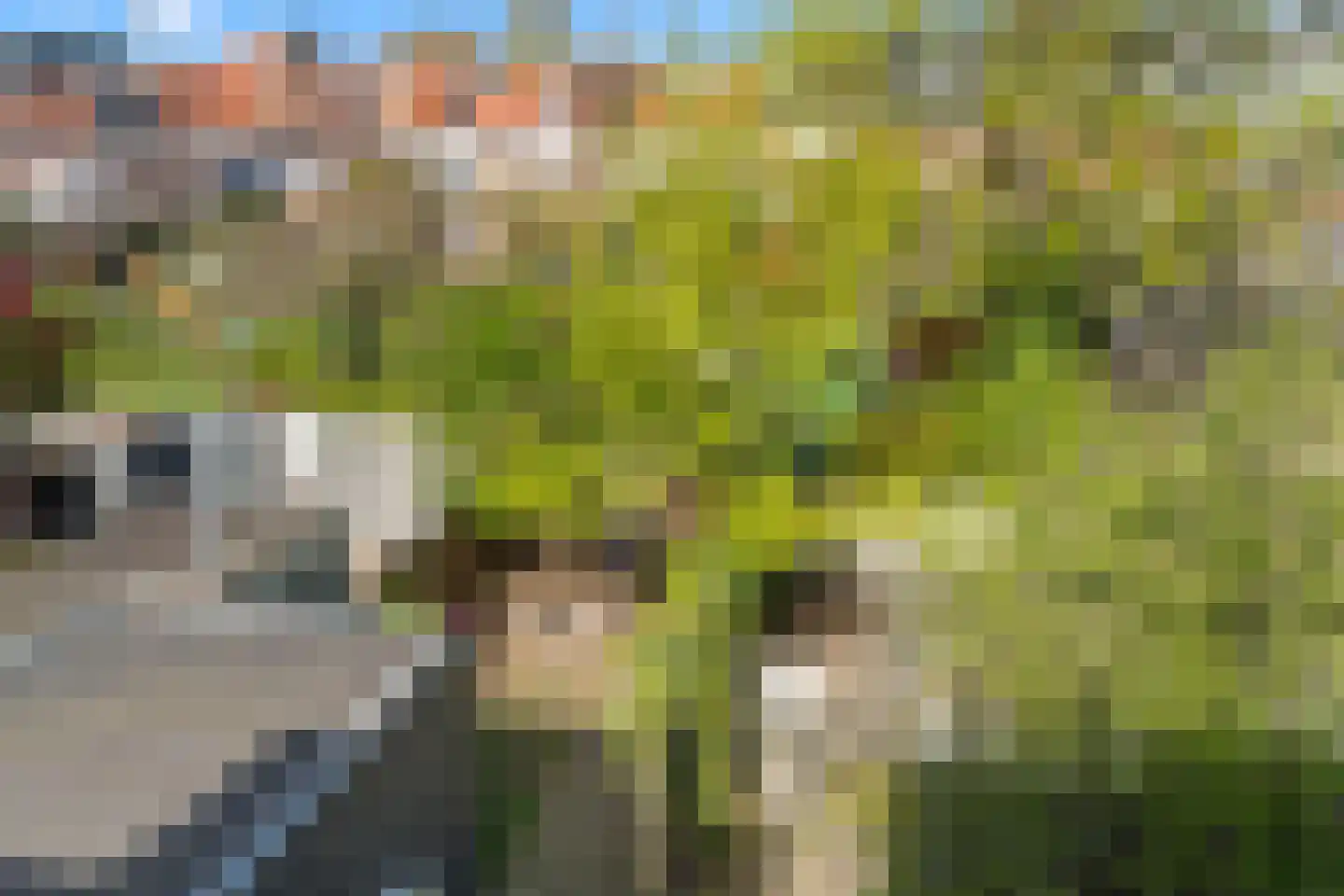 Papaverstraat 7 B Utrecht thumbnail 11