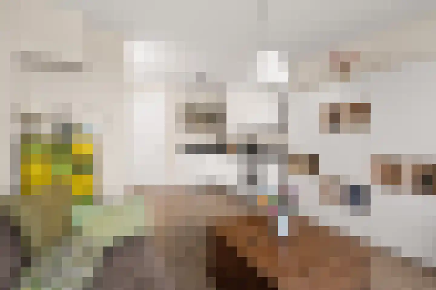 Papaverstraat 7 B Utrecht thumbnail 13