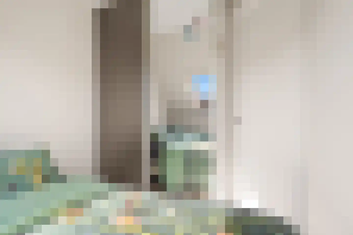 Papaverstraat 7 B Utrecht thumbnail 21