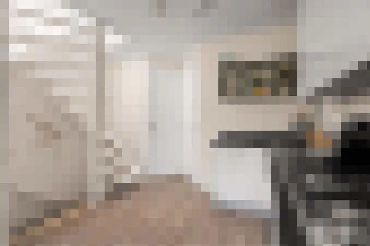 Papaverstraat 7 B Utrecht thumbnail 6