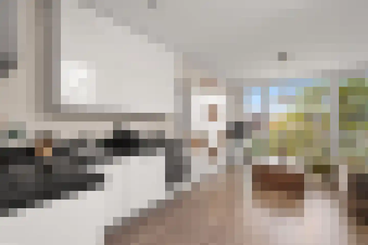 Papaverstraat 7 B Utrecht thumbnail 7