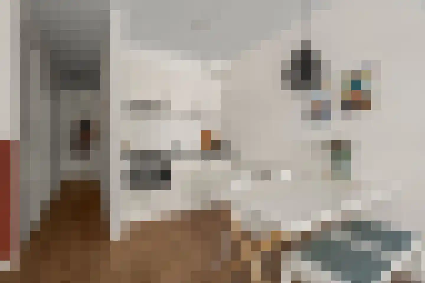 Papaverstraat 7 Utrecht thumbnail 12