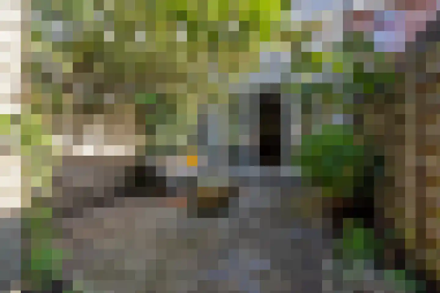 Papaverstraat 7 Utrecht thumbnail 22
